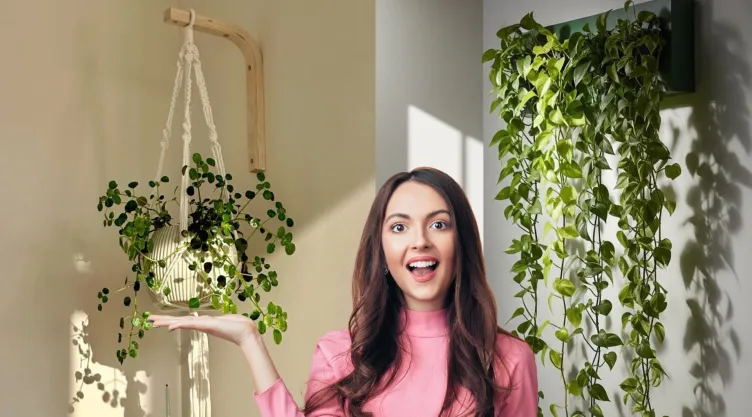 plantas colgantes