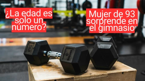 Pesas en el gimnasio