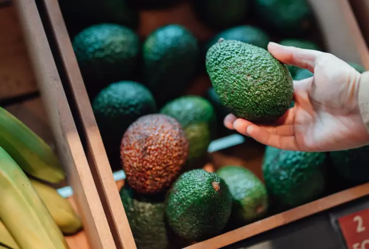 ¿Compraste un aguacate verde? Esta fruta es ideal ayudar en su maduración
