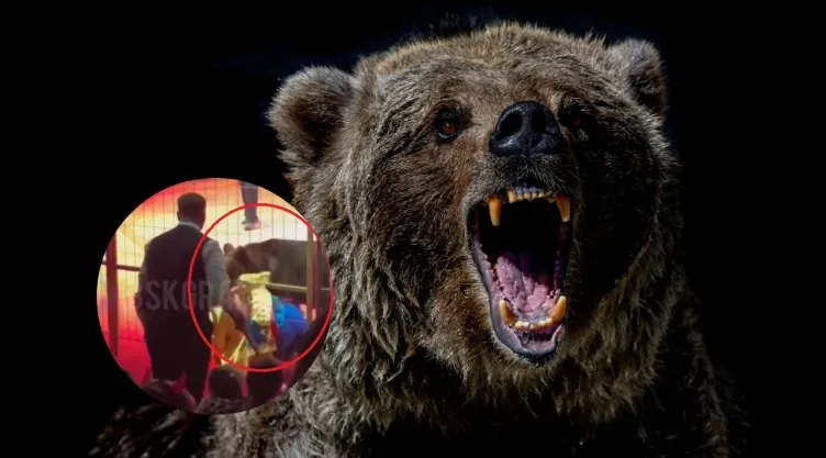 oso-ataca-circo-rusia