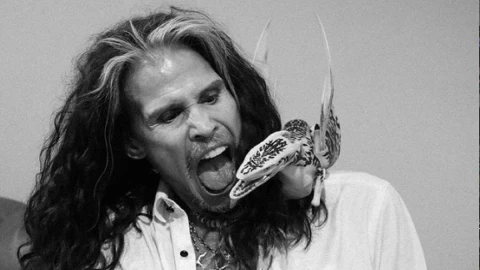 steven tyler acusado de abuso