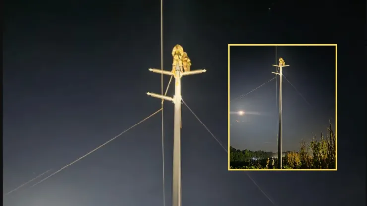Seis estados siguen sin luz por lluvias y vientos; CFE trabaja en el restablecimiento del servicio eléctrico