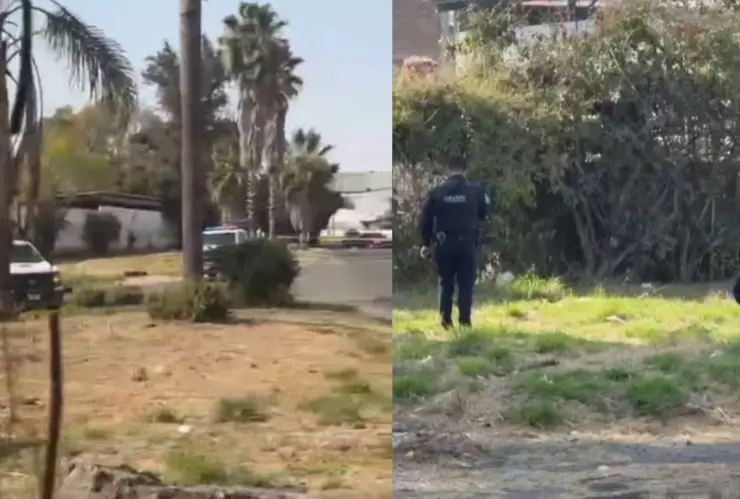 Hallan cadáver entre pastizales tras alerta ciudadana en el cruce de Carr. a El Salto y Alameda