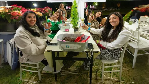 Jardines de México recorridos navideños