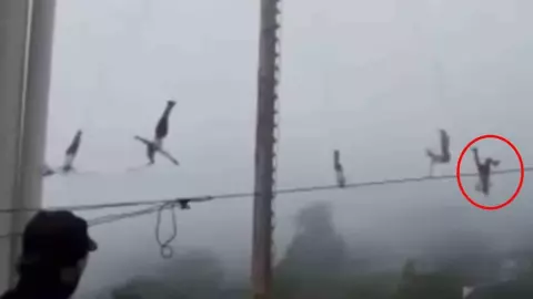 Volador de Papantla realiza su vuelo y cae