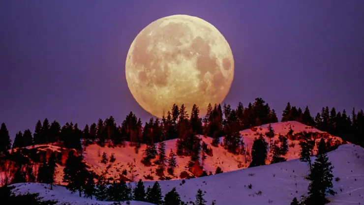 Luna fría 2024