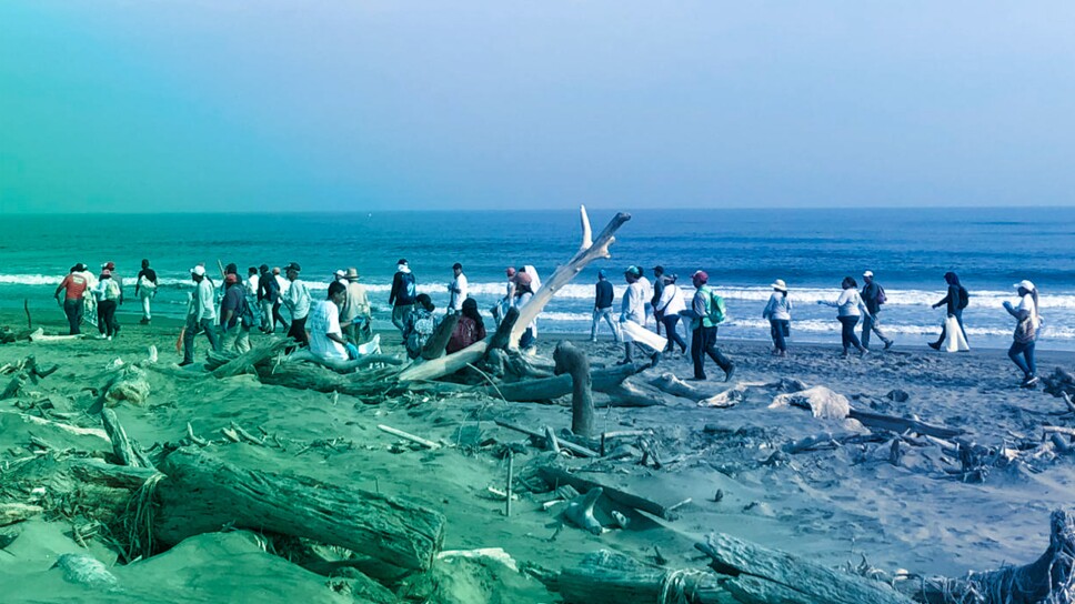 La Trocha Veracruz, 2