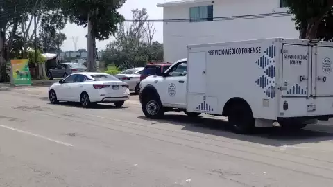 Muerto La Piedad.jpeg