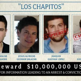 Los chapitos