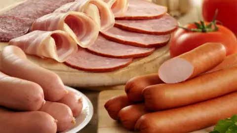 carne procesada carcinógeno