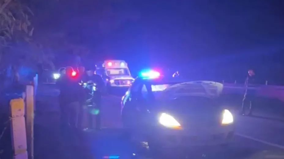 Carro con cuerpos en el interior