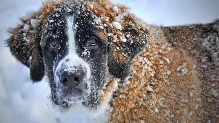 Listo para más frío Este día azotará el Frente Frío 26 a Jalisco