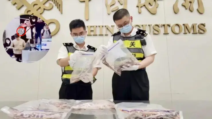 aduana-china-detiene-hombre-más-100-serpientes-en-sus-pantalones-video-portada