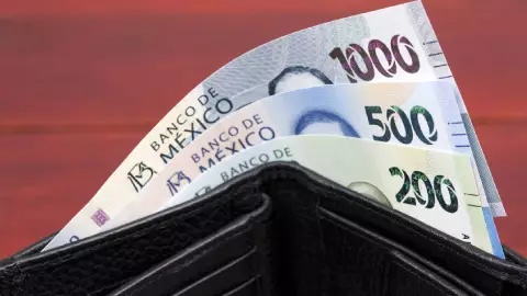 Programa que da 6,250 pesos al mes a mayores de edad; requisitos