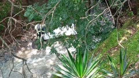 Hombre pierde la vida tras caer a un barranco en Magdalena Contreras