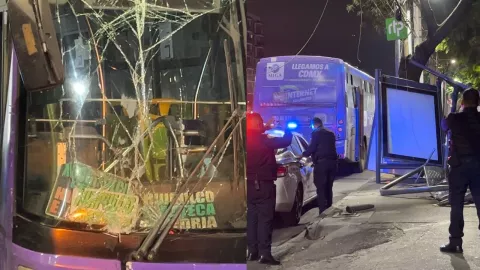 Accidente en CDMX: Camión choca contra parabús en Tlalpan; operador se da a la fuga
