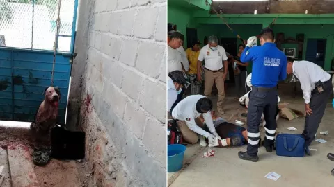 perrito defiende su casa en Chiapas y casi le arranca el brazo a un ladrón .jpg