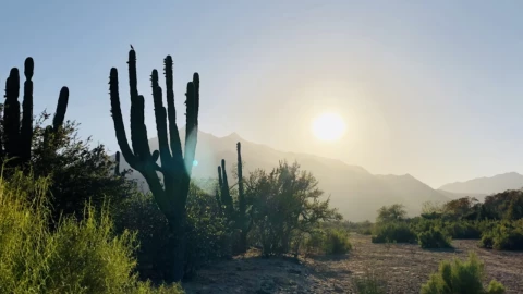 Fuerte temblor de 4.8 sacude San José del Cabo: vecinos desalojan casas y oficinas