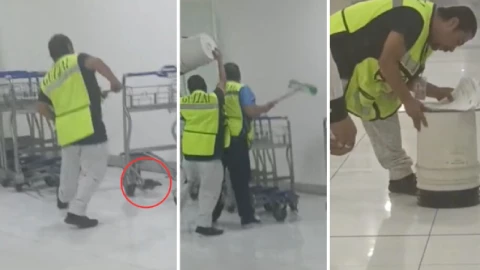 Viral Rata gigante aparece en AICM, causa pánico entre turistas