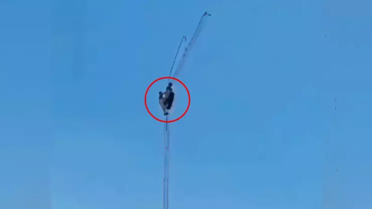 VIDEO: ¡IMÁGENES FUERTES! Mueren dos trabajadores al C4ER de una torre de transmisión de 90 metros de altura
