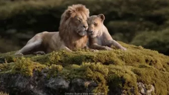 Galeria Platinum El Rey León