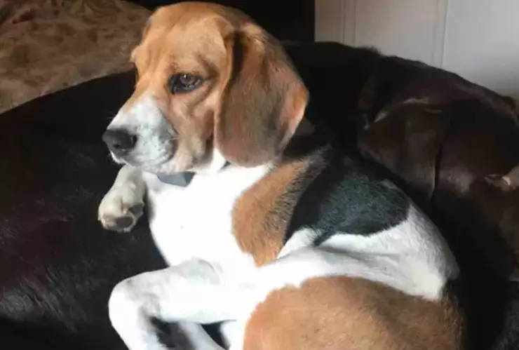 Reggie desarrolló una personalidad temerosa debido a los abusos que soportó durante más de seis años