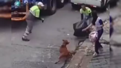 Perro pitbull ataca en Brasil
