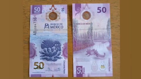 Billete de 50 pesos se vende en un millón de pesos.jpg