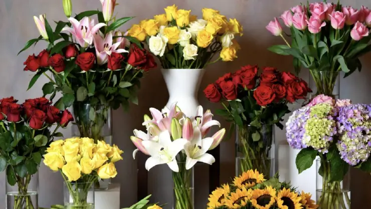 ¿Buscas un regalo para reforzar la amistad? Estas son las flores adecuadas