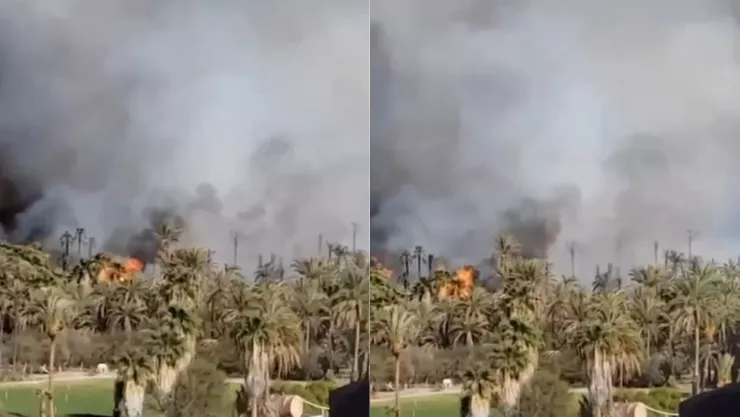 ¿Qué provocó el incendio de palmares en San Ignacio, Mulegé en Baja California Sur hoy lunes 31 de marzo de 2025?