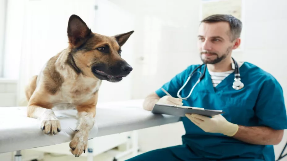 Visita al veterinario_FullTrust.jpeg