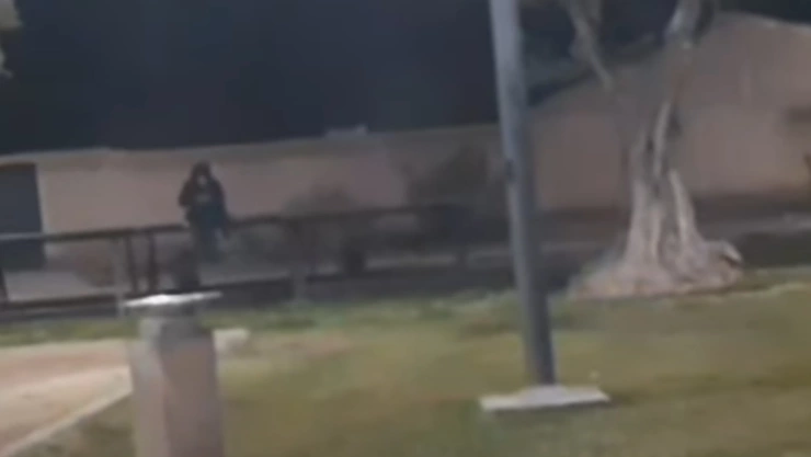 captan figura oscura en un parque.jpg