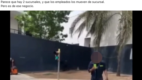 Presunto maltrato animal acabó con la vida de una zarigüeya en Monterrey