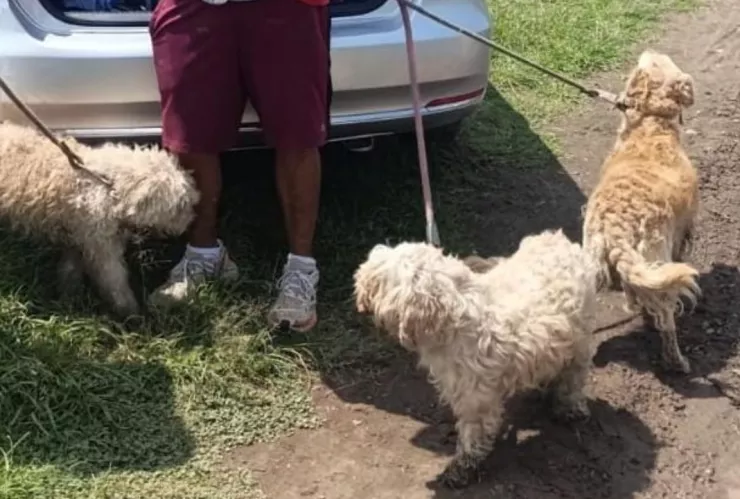 1280 x 720 px - 2025-09-09T135035.623.jpg