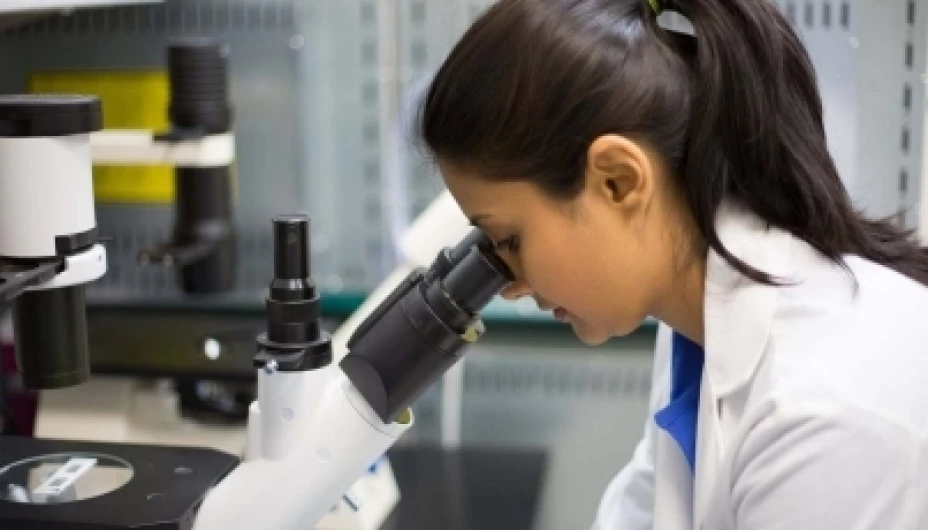 Fracturas y nanoestructuras