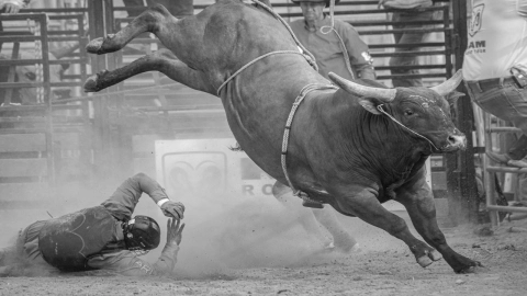 ¡Saltó el muro! Video muestra escape de toro en rodeo de EU; atacó a varios asistentes
