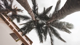 Se nubla Puerto Vallarta Así está el clima hoy 29 de mayo en Puerto Vallarta