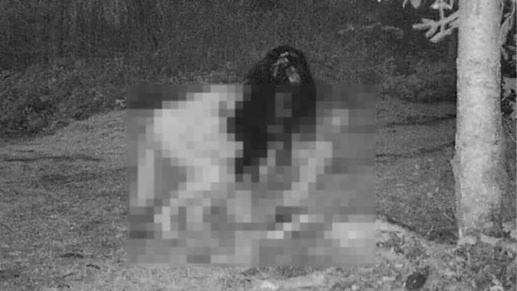 ‘Brujas semidesnudas’ comiendo sobre cadáver de ciervo