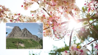 Zonas arqueológicas Tabasco primavera