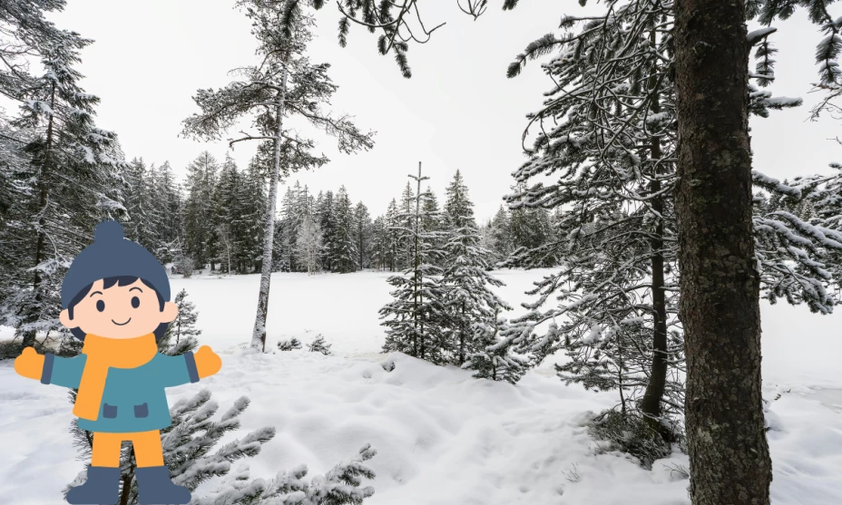 tormenta invierno-México.png