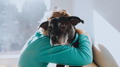 Video viral de niño que rescata a su perrita en un elevador.