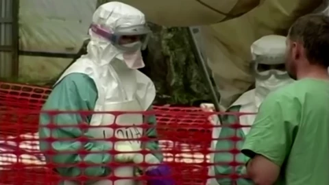 OMS aumenta vigilancia tras virus de Marburgo en Guinea Ecuatorial