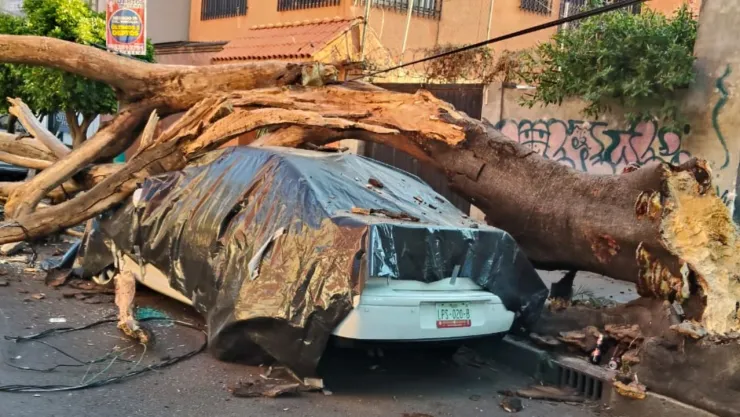 Sismo hoy CDMX: Reportan caída de plafón en La Raza y daños en Benito Juárez y Cuauhtémoc