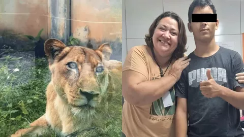 Hombre que entró a la jaula de la leona; ¿por qué lo hizo?