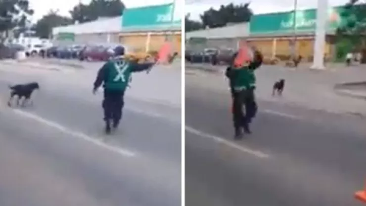 Policía detiene el tránsito para que un perrito cruce