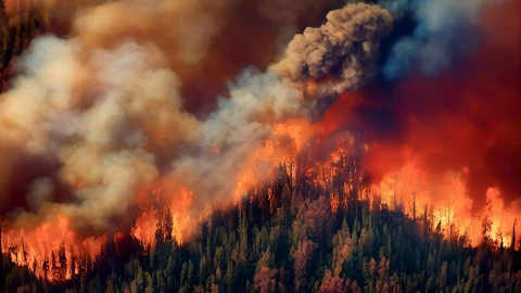Vista aérea de un incendio forestal en California