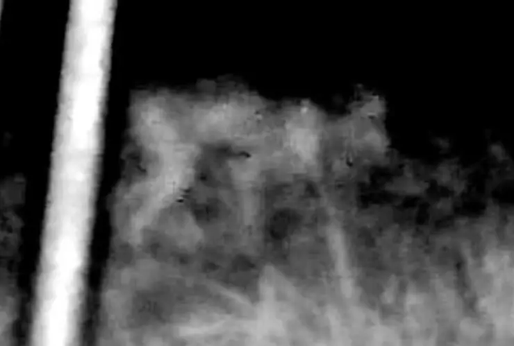 Esta zona rural está ATERRADA por la presencia de una criatura SOBRENATURAL que ha desconcertado a las AUTORIDADES