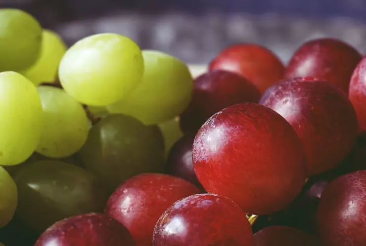 Uvas de Año Nuevo: ¿Cuánto cuestan en México 2024?