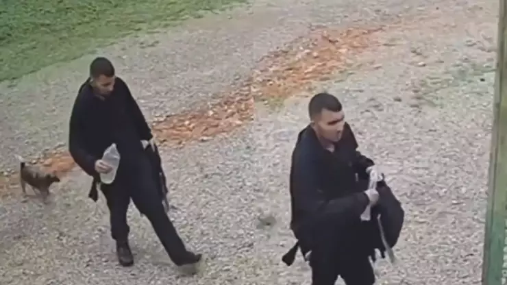 Roberto Farías Thomaz