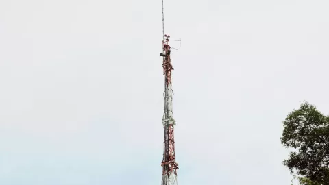 Reforma comunicaciones.